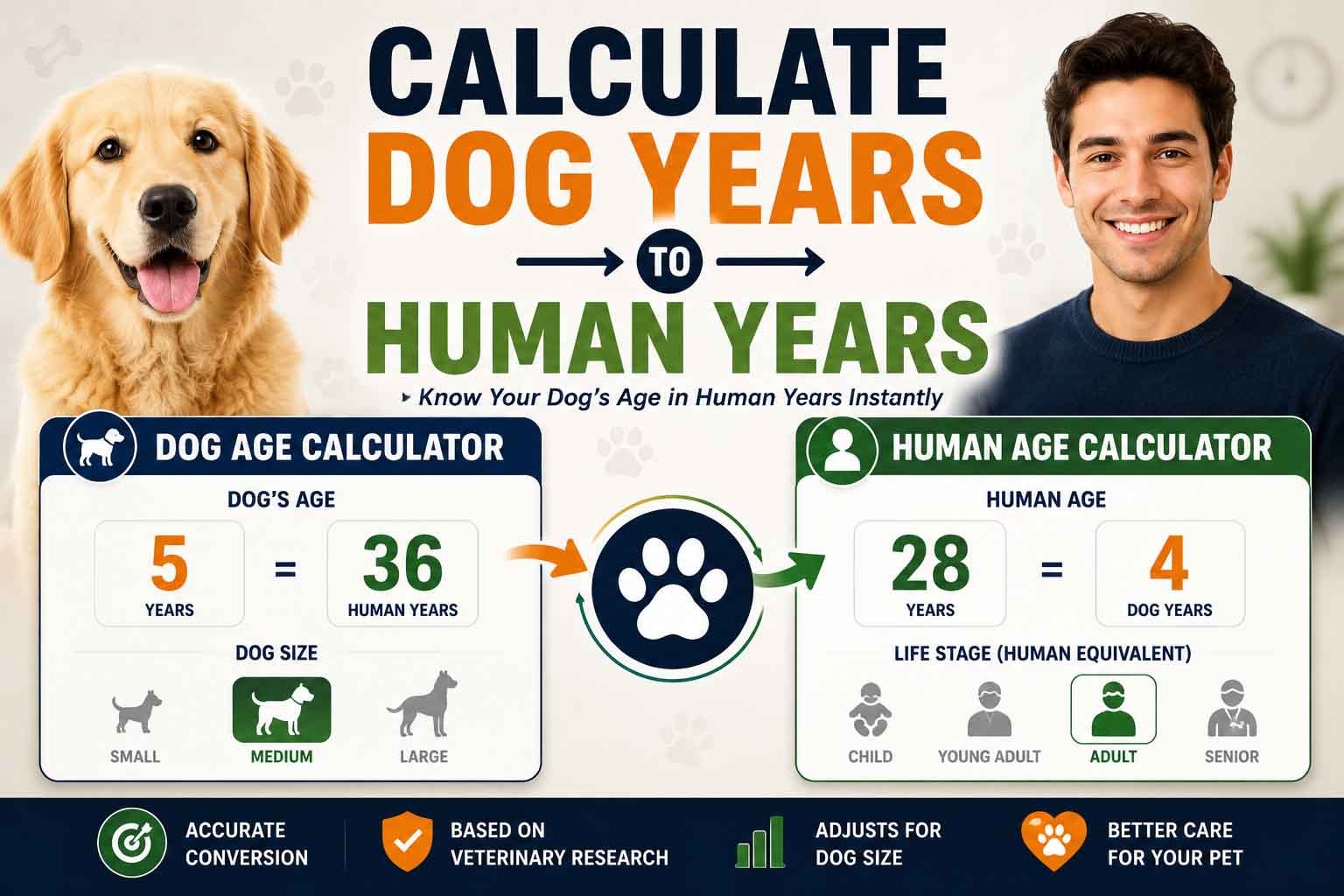 Calculate Dog Years to Human Years: Complete Guide